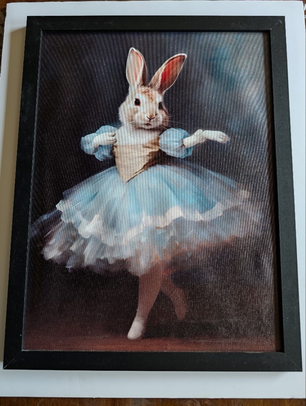 Bunny Ballerina Framed Wall Art